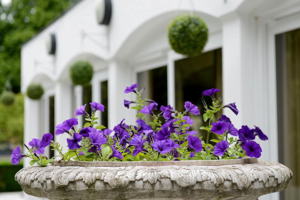 Buckatree Hall By Hamlet Hotels تيلفورد المظهر الخارجي الصورة